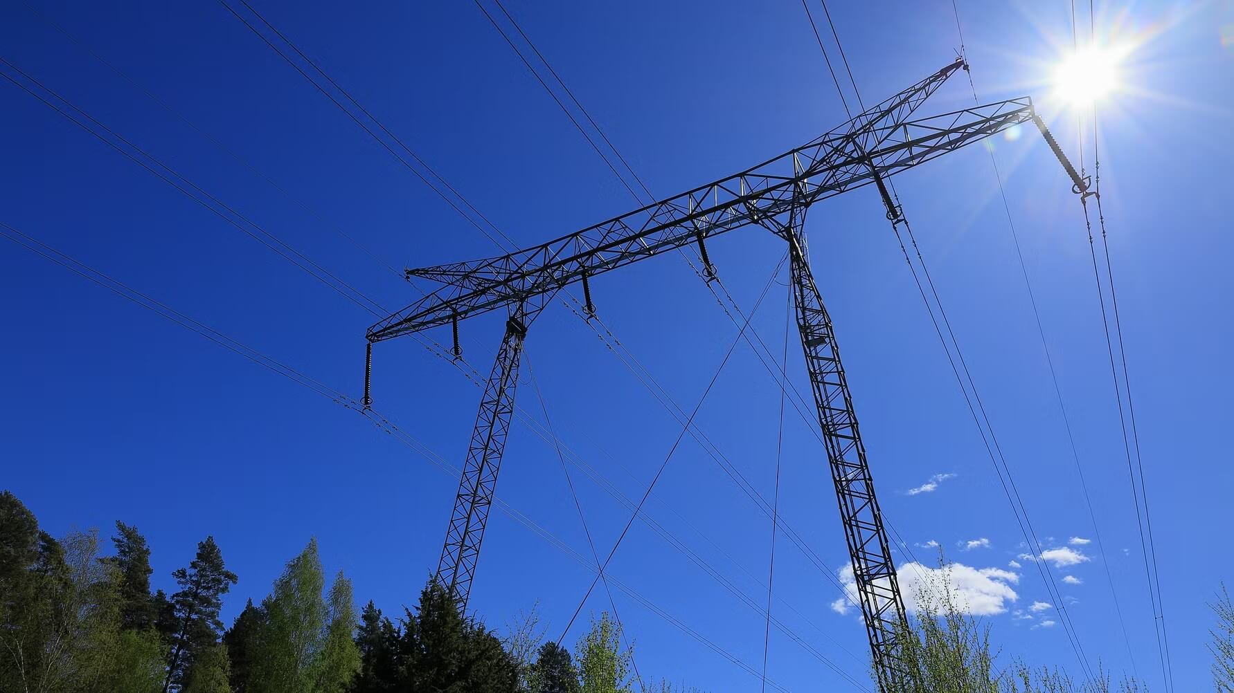 Skyddad: Elnätsbolag